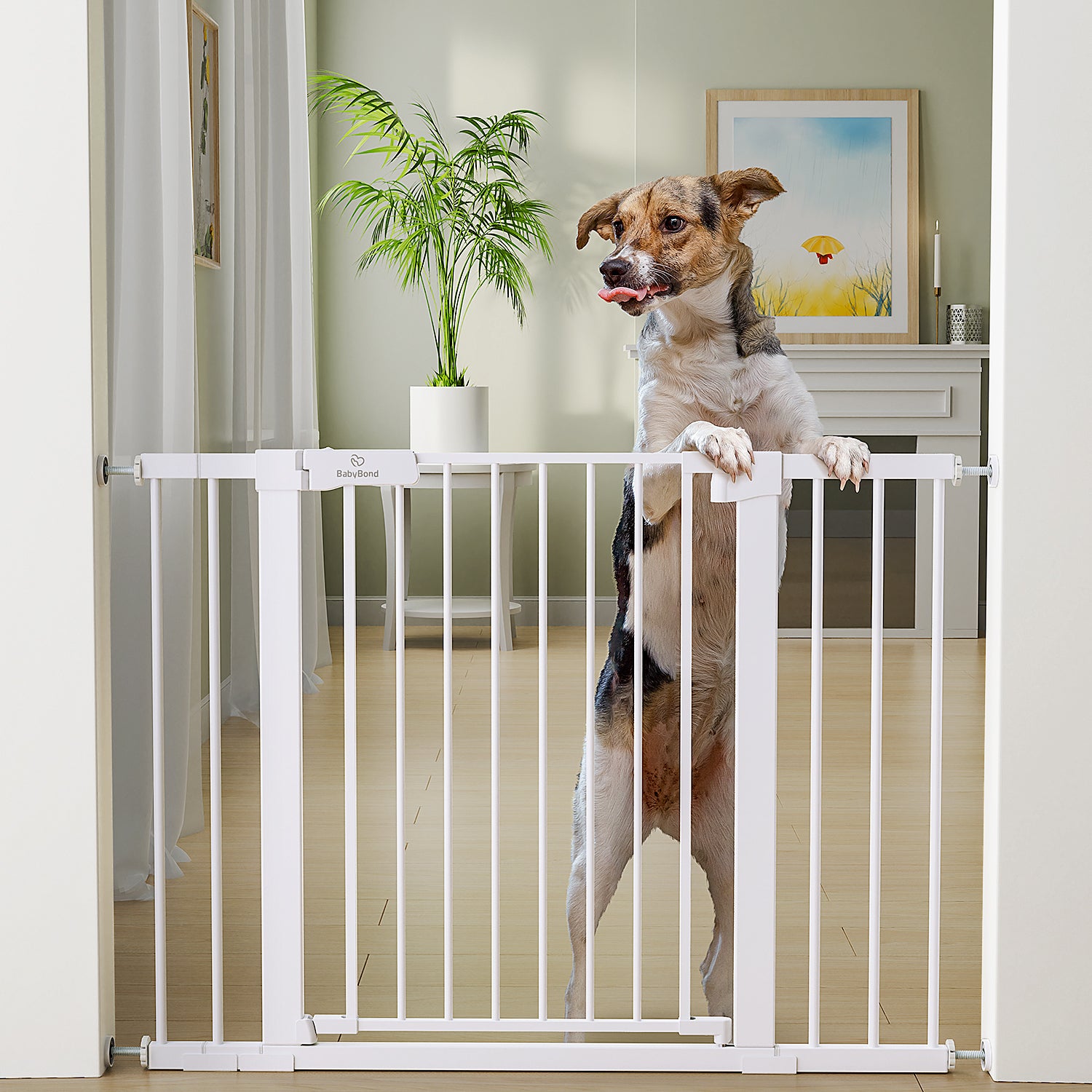 Amazon Sturdy Dog Gates YORWHIN Short Dog Gate Pet Gates Puppy